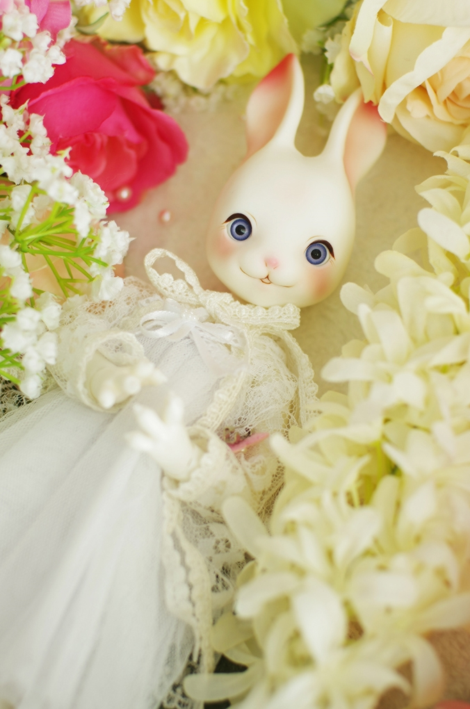 Fall in doll Rabi 1/6 bjd - Click Image to Close